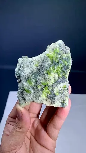 specimen video