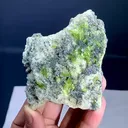 specimen video