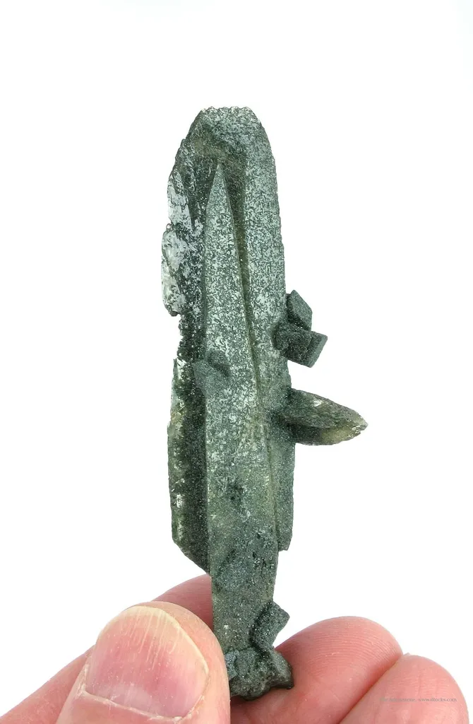 Titanite Included By Chlorite image