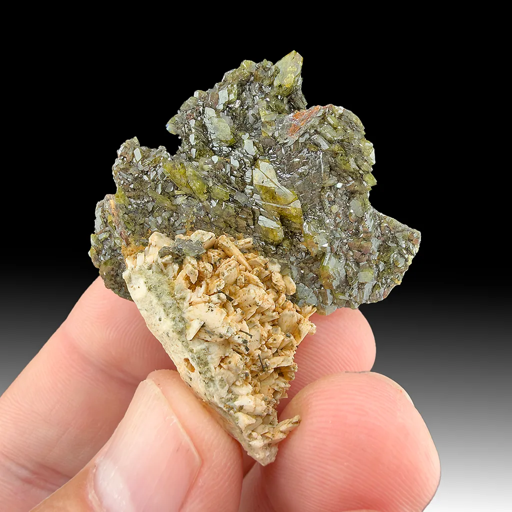 titanite, Rutile after Ilmenite with Albite image