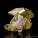 Titanite (twin) with Albite - image 1