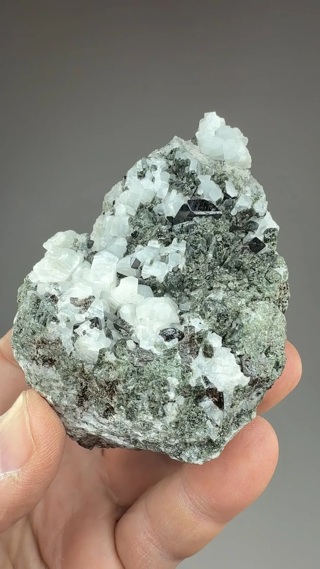 Titanite with Augite, Quartz - image 2