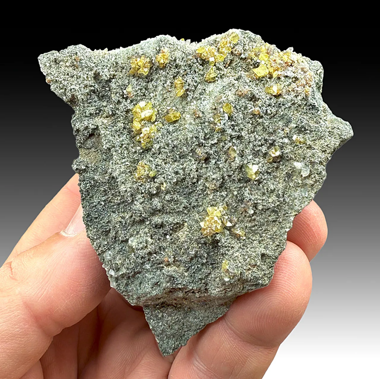 Titanite with Clinochlore - image 1