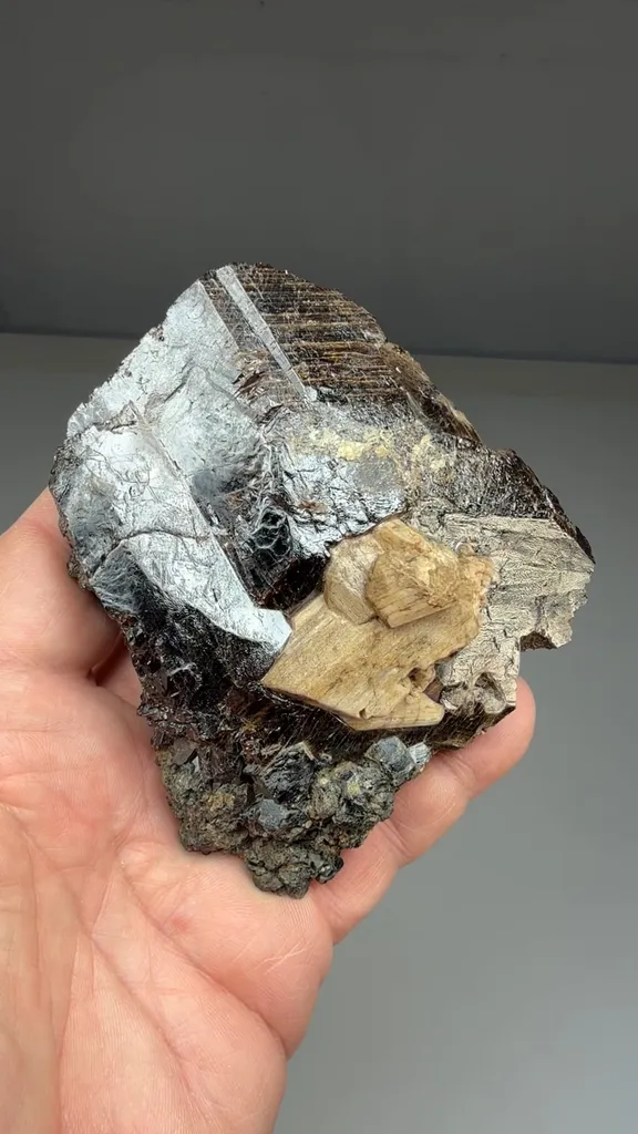 Titanite with Scapolite - image 2