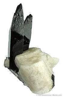Tn 1081 - Aegirine on Feldspar image