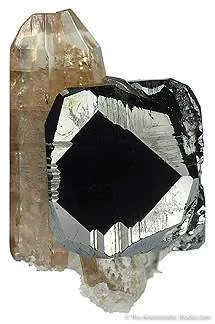 Tn 1081 - Bixbyite on Topaz image