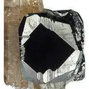 Tn 1081 - Bixbyite on Topaz - image 1