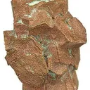 Tn 1081 - Copper Pseudomorph After Aragonite (Floater) - image 2