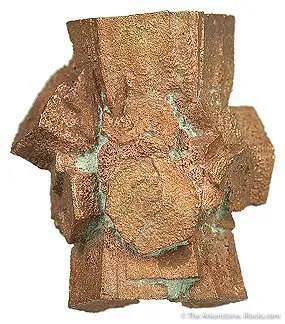 Tn 1081 - Copper Pseudomorph After Aragonite (Floater) - image 4