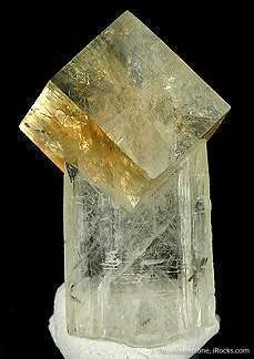 Tn 1081 - Fluorite on Celestine image