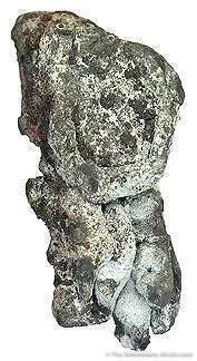 Tn 1081 - Native Lead image