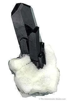 Tn 1081 - Neptunite - image 2