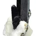 Tn 1081 - Neptunite - image 3