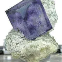 Tn 1082 - Fluorite (Phantom) - image 3