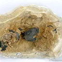 Todorokite on Gypsum - image 1