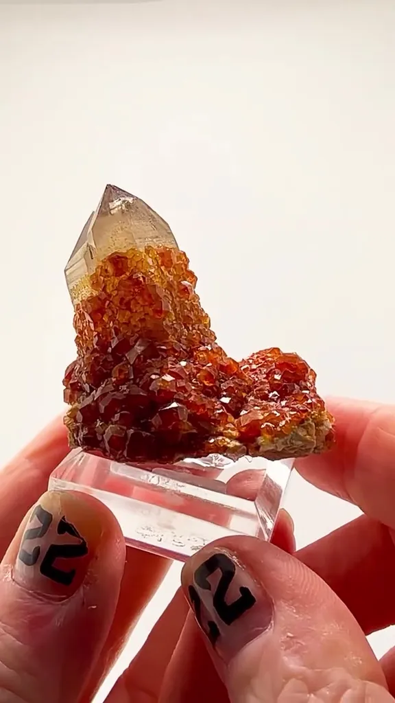 TONGBEI FIRE — Spessartine ON Smoky Quartz image