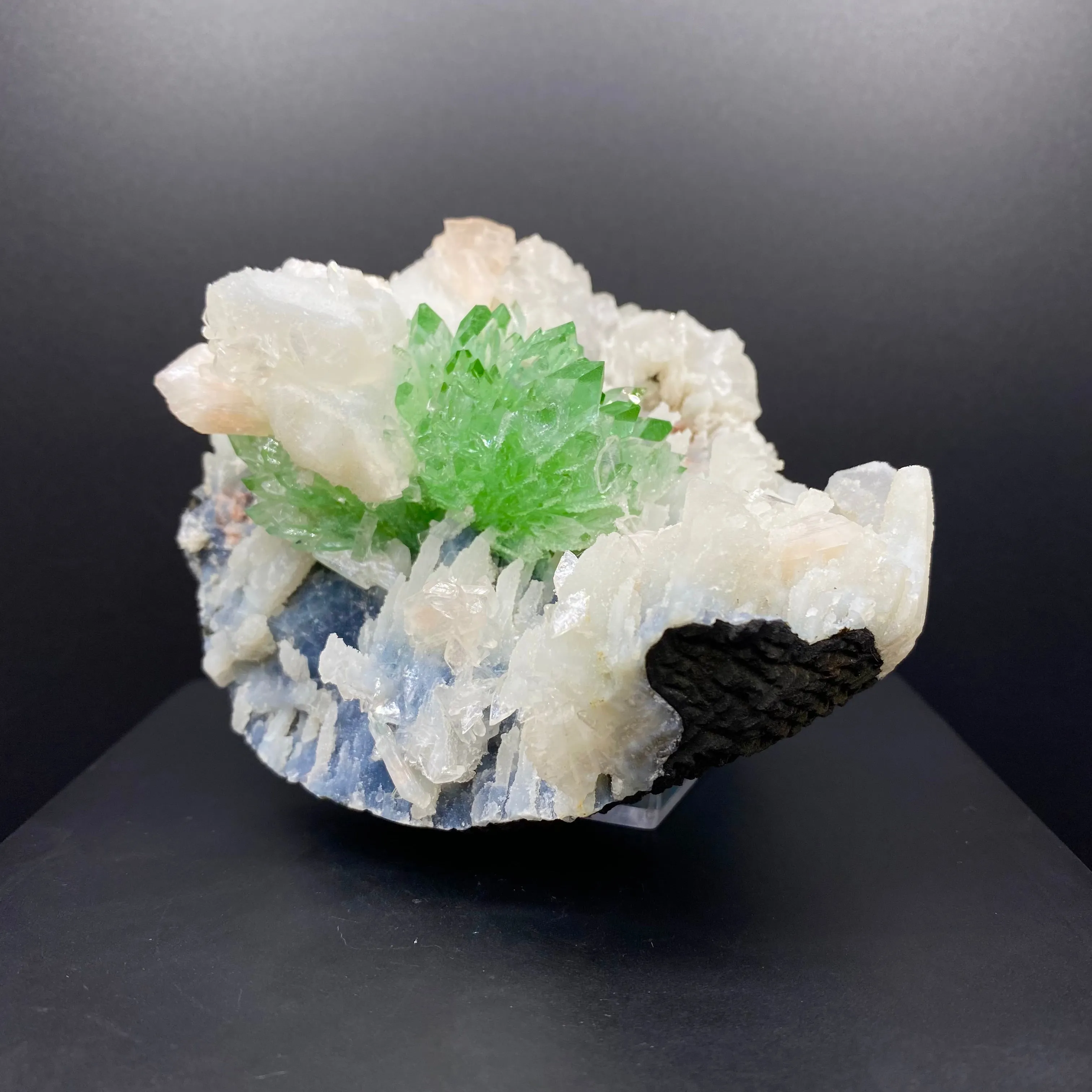 Top Collector Apophyllite & Blue Chalcedony Zeolite Specimen | 4-in-1 Gemmy Green Apophyllite with Calcite & Stilbite | Jalgaon, India DK81 - image 3