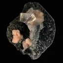 Top-Notch Gemmy Champagne Calcite with Stilbite on Black Chalcedony | Indian Zeolite Specimen – Jalgaon DK86 - image 5