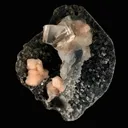 Top-Notch Gemmy Champagne Calcite with Stilbite on Black Chalcedony | Indian Zeolite Specimen – Jalgaon DK86 - image 2