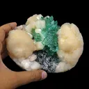 Top Rare Green Floral Apophyllite with Stilbite Natural Mineral Specimen USA - image 4