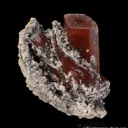 Topaz - image 6