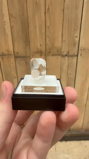specimen video