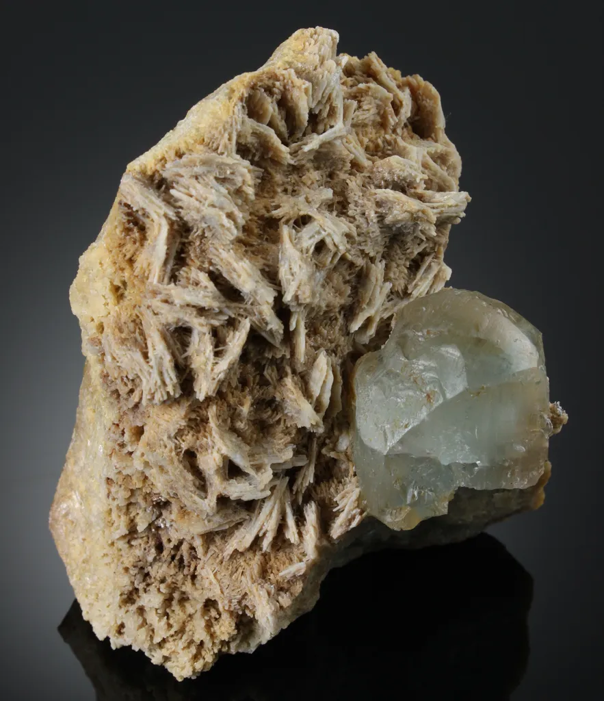 Topaz image