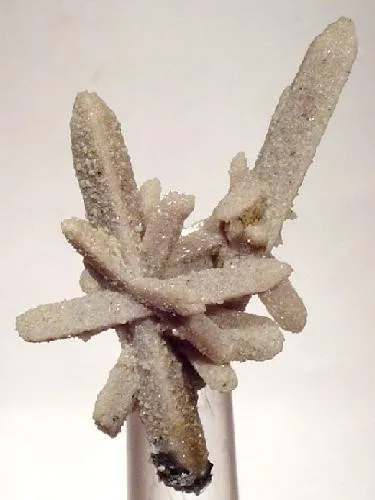 Topaz image