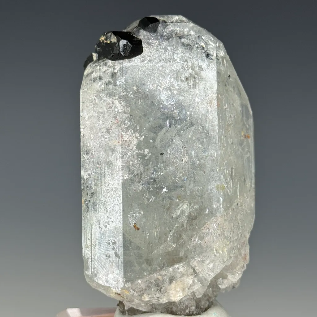 Topaz image