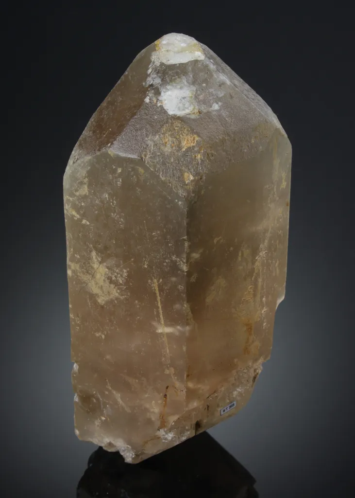 Topaz image