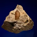 Topaz - image 1