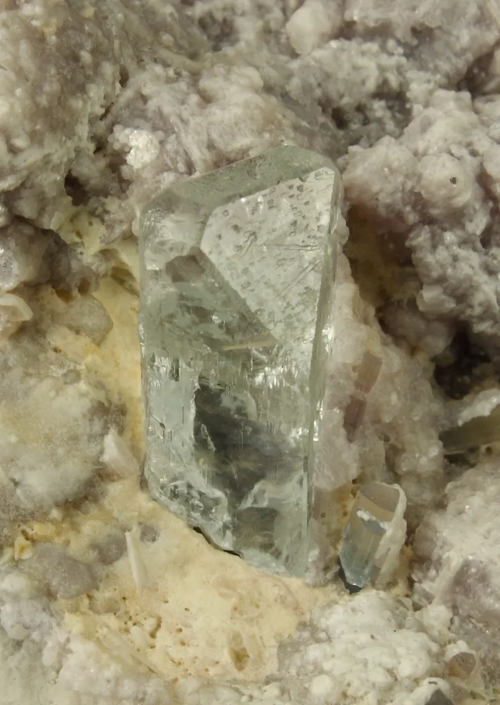 Topaz image