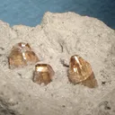 Topaz - image 2