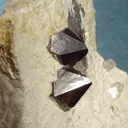 Topaz, Albite (Var: Cleavelandite), Quartz (Var: Smoky Quartz) - image 2