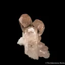 Topaz and Fluorite on Cleavelandite - image 3