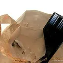 Topaz and Schorl on Quartz (Floater!) - image 2
