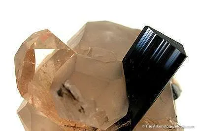Topaz and Schorl on Quartz (Floater!) - image 2
