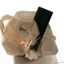 Topaz and Schorl on Quartz (Floater!) - image 5