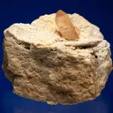 Topaz - image 3