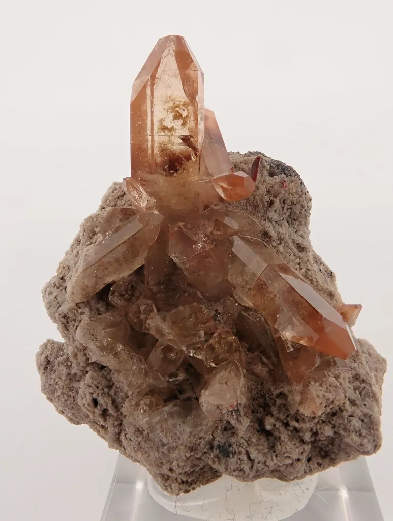 Topaz image
