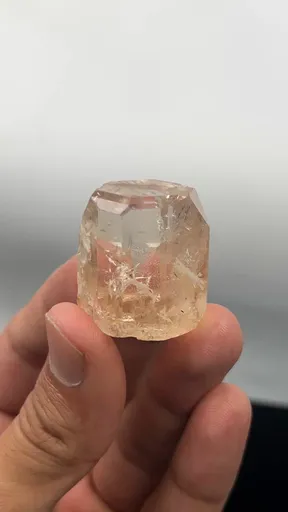specimen video