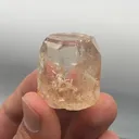 specimen video