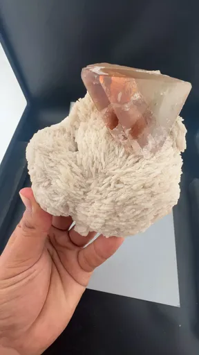 specimen video