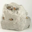 Topaz - image 1