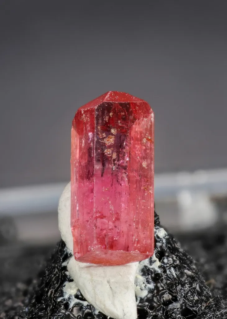Topaz image