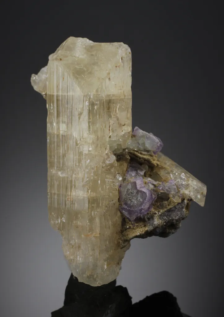 Topaz image