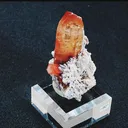 specimen video