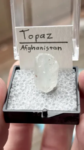 specimen video
