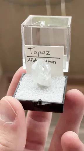 specimen video