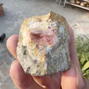 specimen video
